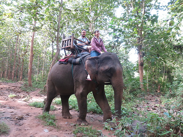 Sur l'éléphant
