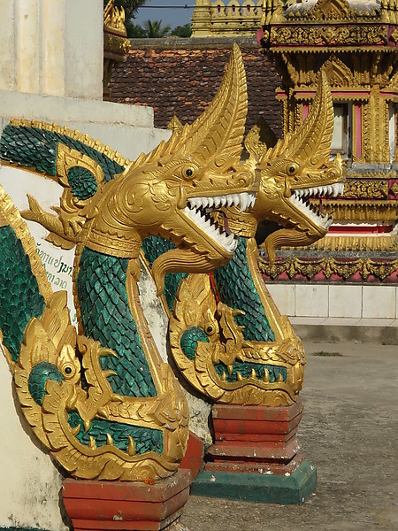 Nagas
