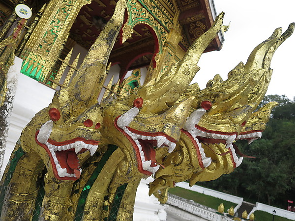 Nagas