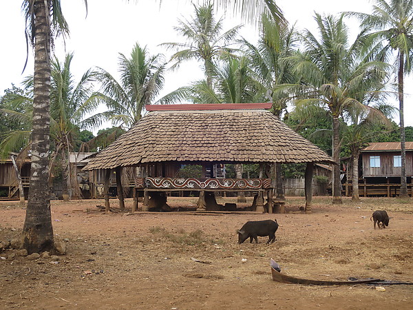 Village ethnique